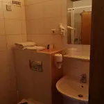 Wirt Z'minsta 酒店