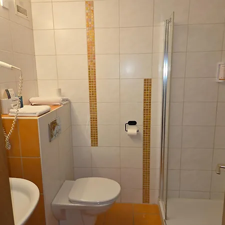 Wirt Z'minsta Отель Альтмюнстер